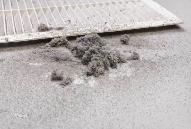 Air Duct Mold Removal in Wind Lake, WI