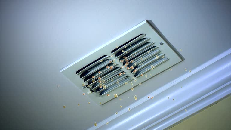 Ductwork Cleaning Services in Wind Lake, WI